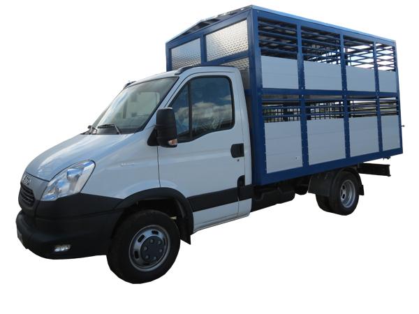 Allestimento autocarro Daily per trasporto animali  - foto 1